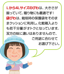 Lから4Lサイズのびわは、大きさが 揃っていて、贈り物にも最適です! 袋びわは、栽培時の保護袋をそのま まクッションに利用し、化粧箱入より も若干分量がオトクとなっています。 双方の味に違いはありませんので、ご用途に合わせてお選び下さい。