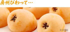 房州びわって…